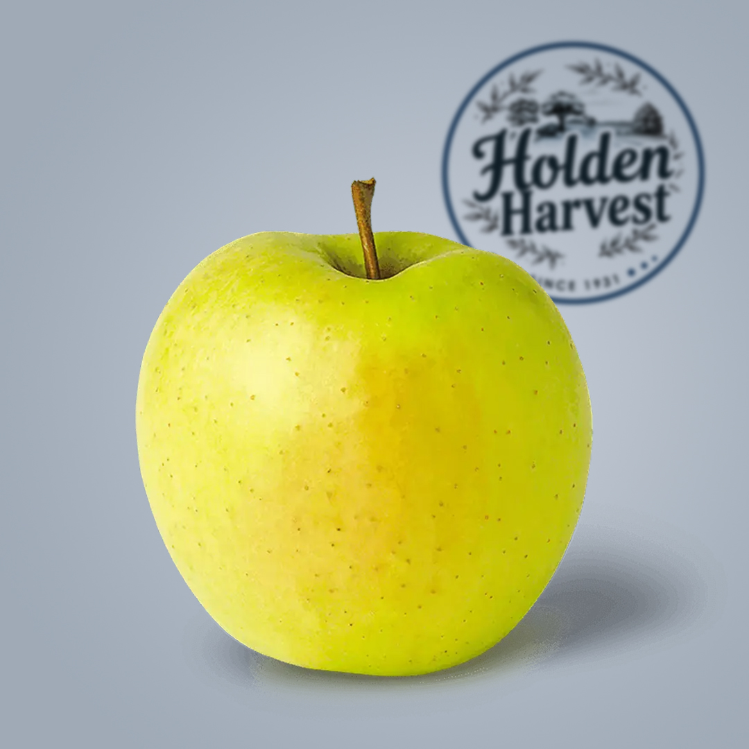 Apple1